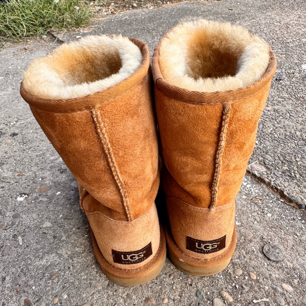 UGG Classic Boots in Chestnut - Picture 2 of 9